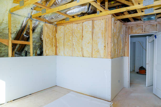 Best Commercial Insulation in Deadwood, SD