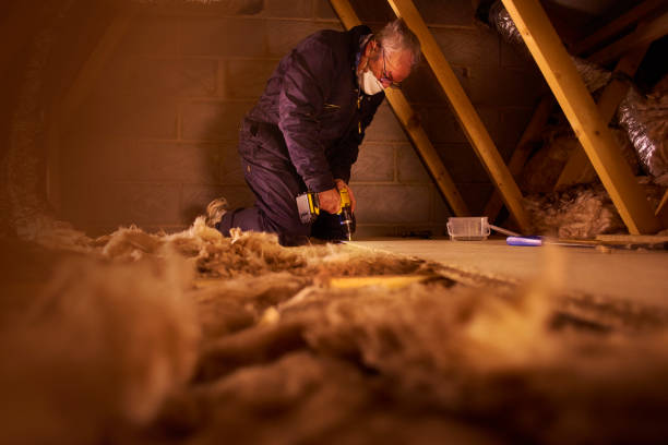Best Residential Insulation in Deadwood, SD